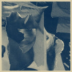 Distant Companion (Vinyl)