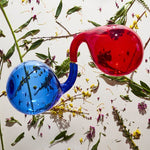 Dirty Projectors - Lamp Lit Prose (Vinyl)