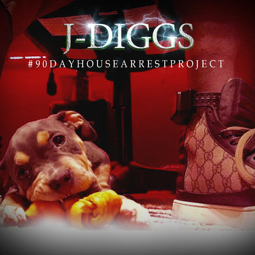 J. Diggs - #90Dayhousearrestproject (CD)