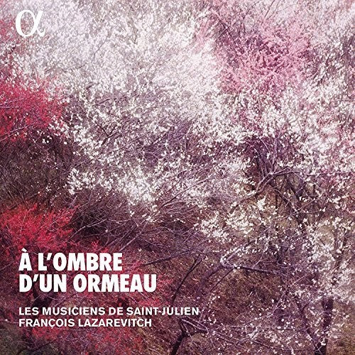 Various Artists - L'ombre D'un Ormeau (CD)