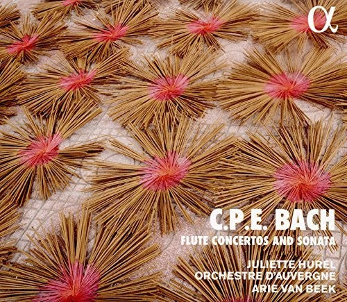 Flute Concertos & Sonatas (CD)