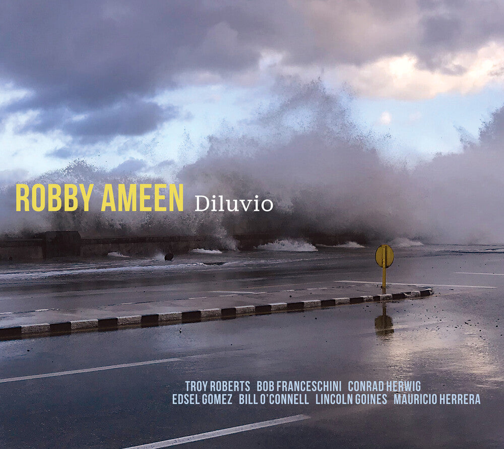 the album cover for Robby Ameen - Diluvio