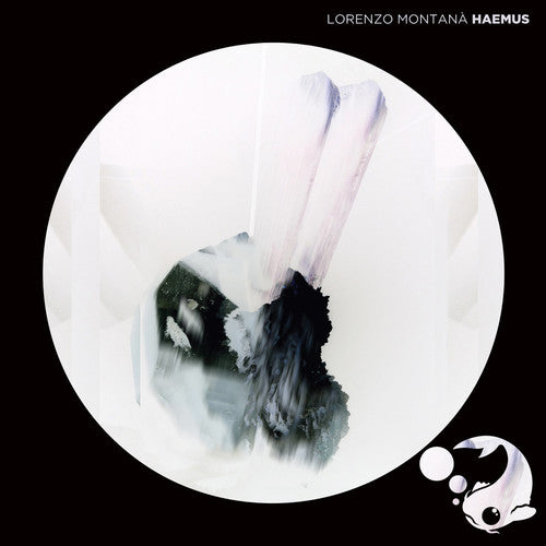 the album cover for Lorenzo Montana - Haemus