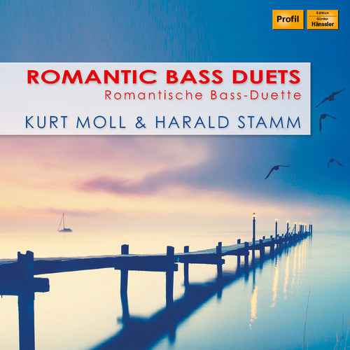 Duetos románticos de bajo (CD)