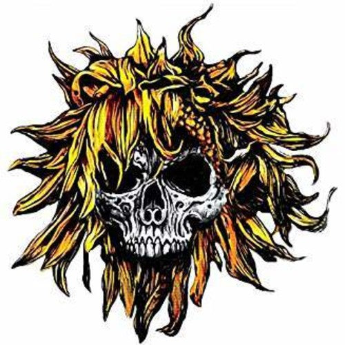 the album cover for Sunflower Dead - C.O.M.A.
