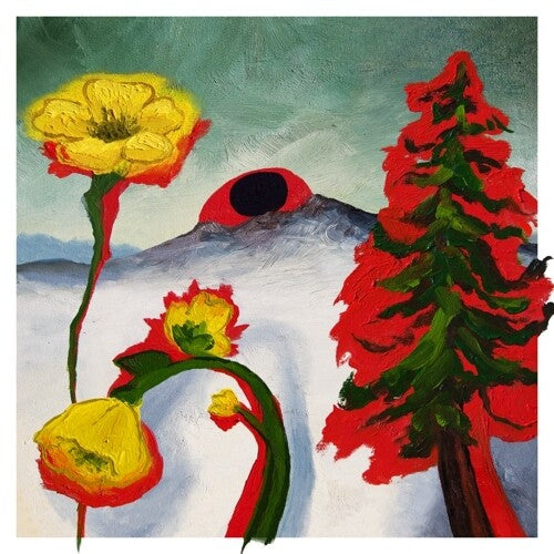 Woods - Strange To Explain (Vinyl)