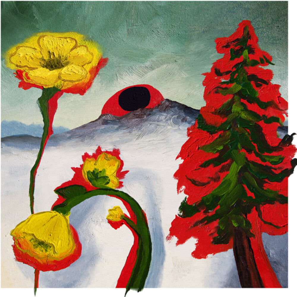 the album cover for Woods - Strange To Explain