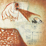 the album cover for Deerhoof - Future Teenage Cave Artists