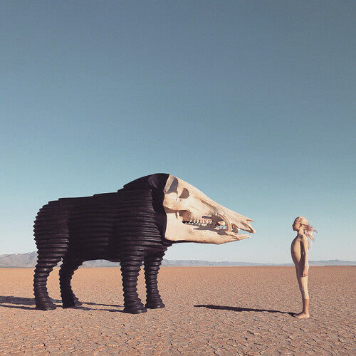 マンマン - ドリームハンティング・イン・ザ・バレー・オブ・ジ・インビトゥウィーン (LPレコード)