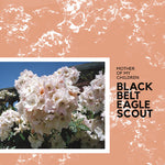Black Belt Eagle Scout - Mother Of My Children (Vinyl)
