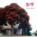 the album cover for Bloods - Feelings