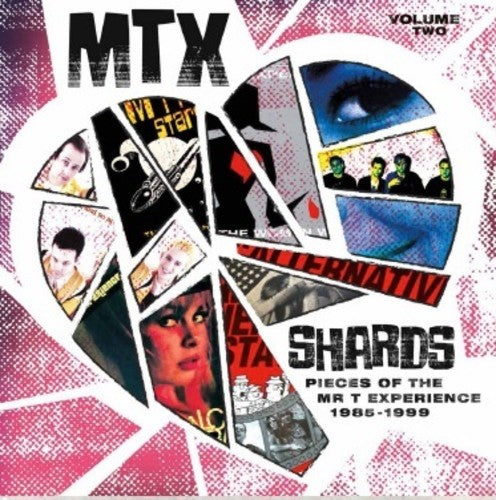 Mr T Experience - Shards Vol. 2 (ビニールレコード)