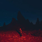 フィービー・ブリジャーズ - パニッシャー(ビニール盤)