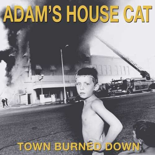 Adam's House Cat - Town Burned Down (Vinyl)