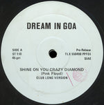 Dream In Goa : Shine On You Crazy Diamond (12", Promo)