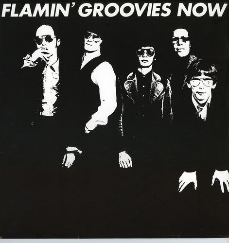 Flamin' Groovies - Ahora (CD)
