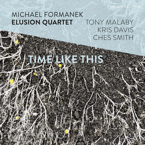the album cover for Michael Formanek - Time Like This