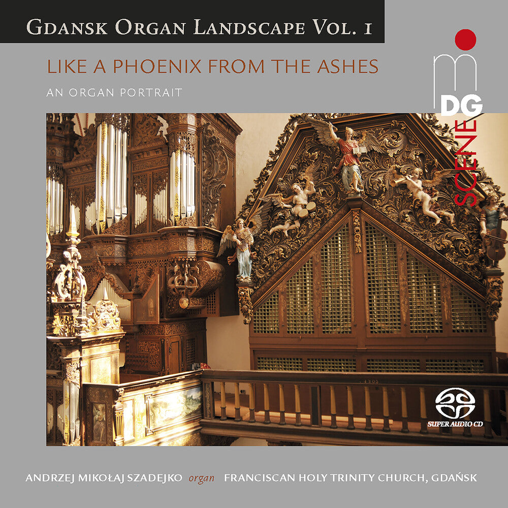 the album cover for Gdansk Organ Landscape 1 / Various Hybr - Gdansk Organ Landscape 1