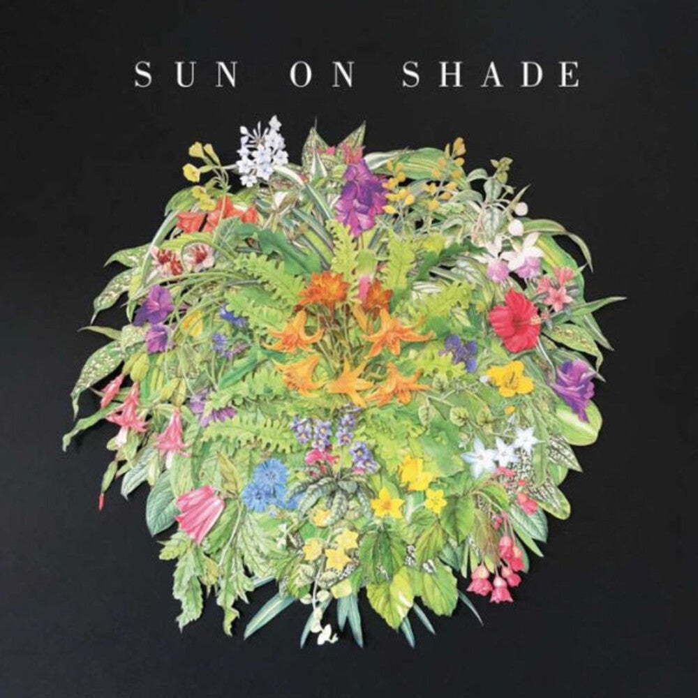 the album cover for Sun On Shade - Sun On Shade