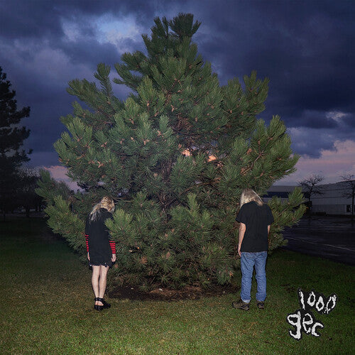 100 gecs - 1000 Gecs (Vinyl)