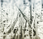 the album cover for Scanner - An Ascent