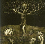 the album cover for All Traps On Earth - Drop Of Light