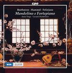 the album cover for Beethoven / Torge / Hambitzer - Mandolino E Fortepiano