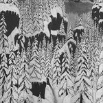 Paysage D'Hiver - Schattengang (CD)