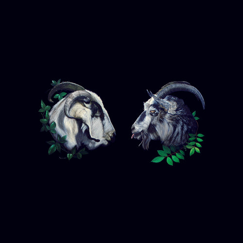 Dbuk - Songs Nine Through Sixteen (Vinyl)