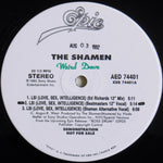 The Shamen : LSI (Love, Sex, Intelligence) (12", Promo)