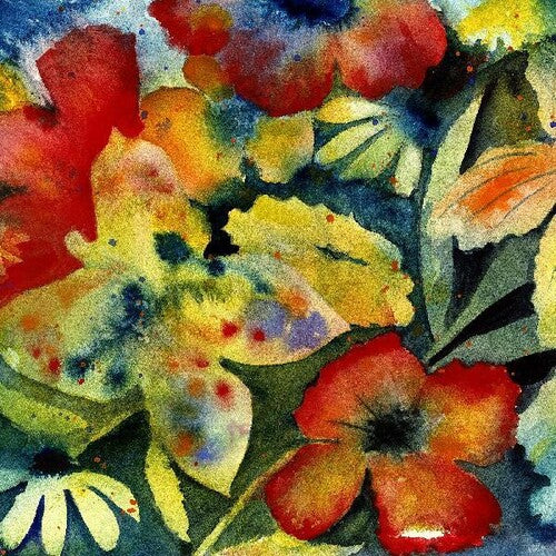 Adrianne Lenker - Canciones e instrumentos (CD)