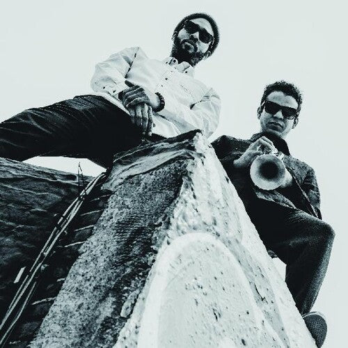 Heritage Of The Invisible Ii (Vinyl)