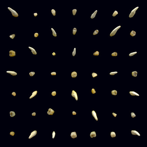 クリッピング - Visions Of Bodies Being Burned (ビニールレコード)