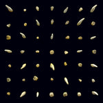 クリッピング - Visions Of Bodies Being Burned (ビニールレコード)