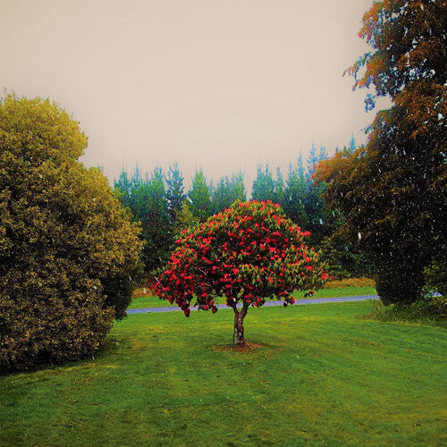 ザ・バットス - フットヒルズ (CD)