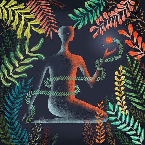 ロマ - ドント・シャイ・アウェイ(ビニール盤)