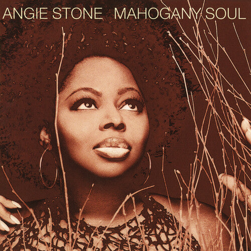 Angie Stone - Alma de caoba (CD)
