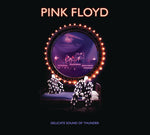 Pink Floyd - Delicate Sound Of Thunder2CD (CD)