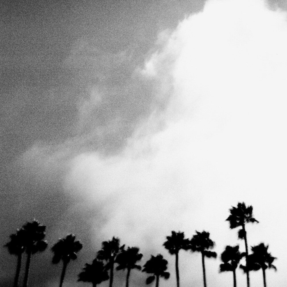 the album cover for Richard Rose - Radiation Breeze