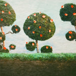 the album cover for Midnight Sister - Painting the Roses