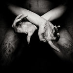 The Shining - X - Varg Utan Flock (Vinyl)