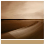 ブライアン・イーノ - Small Craft On A Milk Sea (レコード)