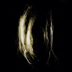 My Heart an Inverted Flame - Plague Notes (Vinyl)