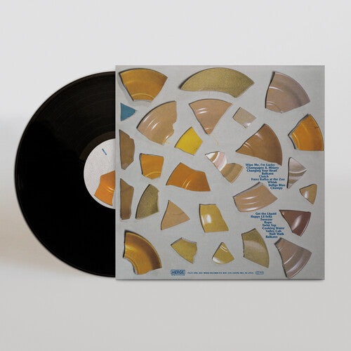 The Clean - País desconocido (Vinilo)