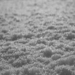 Paysage D'Hiver - Schnee (CD)