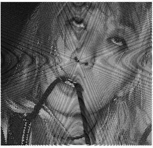 エヴィシェン - ヘア・バース (ビニール盤)