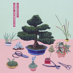 Los Bons es - Hinoki (Vinilo)