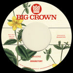 Brainstory - Seasons / Bye Bye (Vinyl)