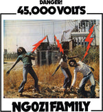 the album cover for Ngozi Family - 45,000 Volts