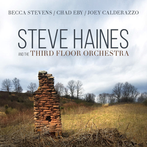 the album cover for Steve Haines & Third Floor Orchestra - Steve Haines And The Third Floor Orchestra